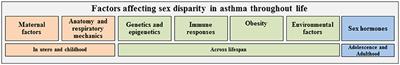 Sex Bias in Asthma Prevalence and Pathogenesis